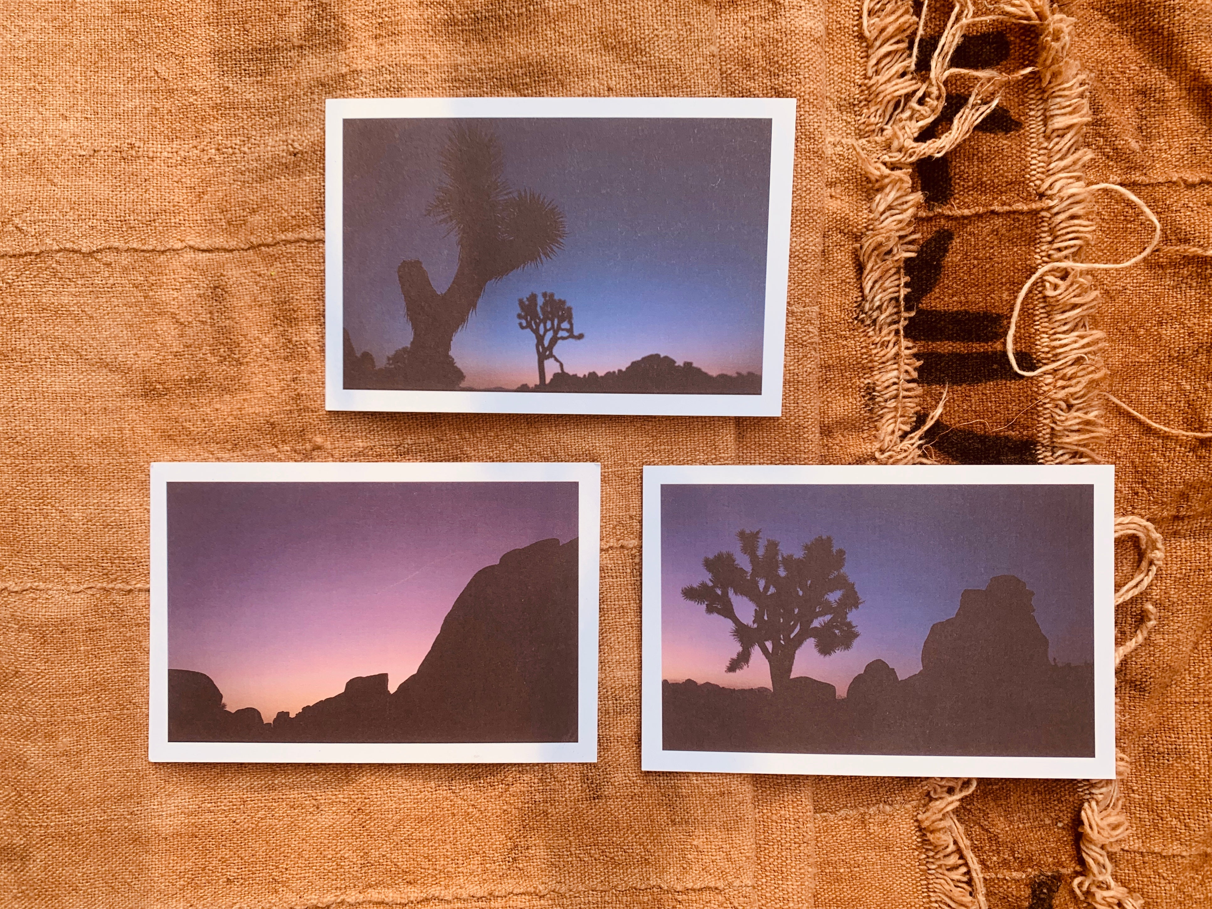 Joshua Tree Postcard Set