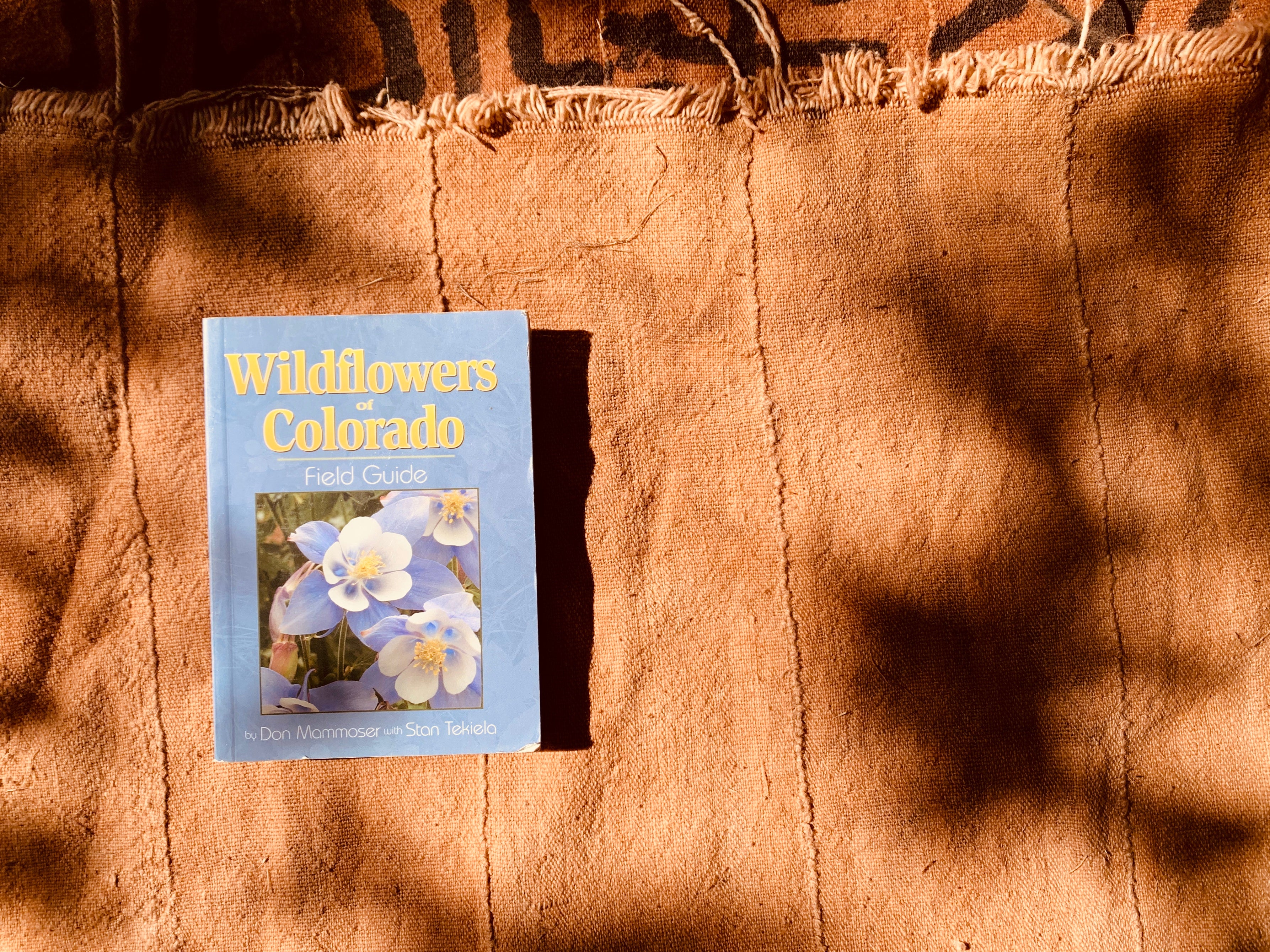Wildflowers of Colorado